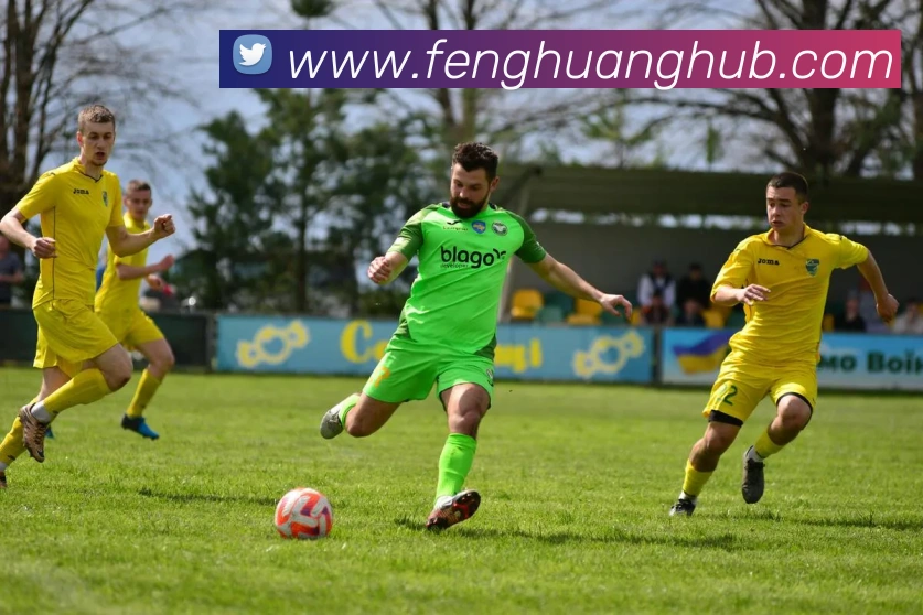 凤凰娱乐官网品牌故事